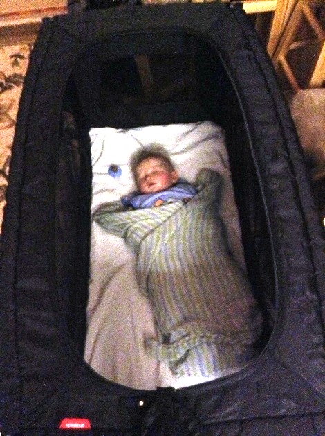 Sleeping in his travel bed in our apartment in New York City.