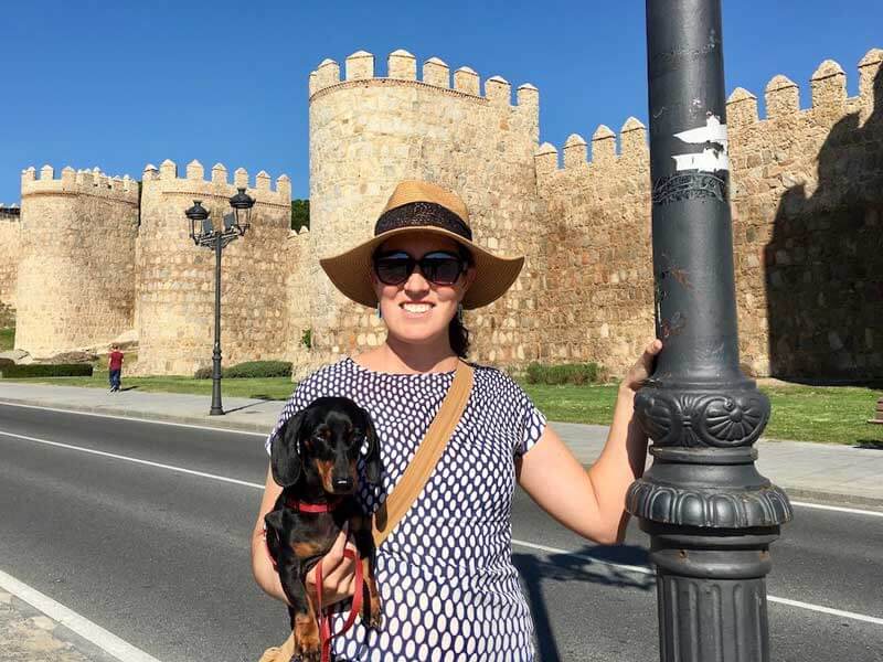 travel to spain with dog from uk