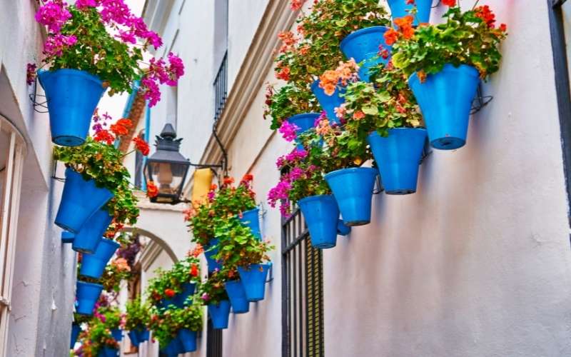 Flower pots on facades in the streets of Cordova, Spain