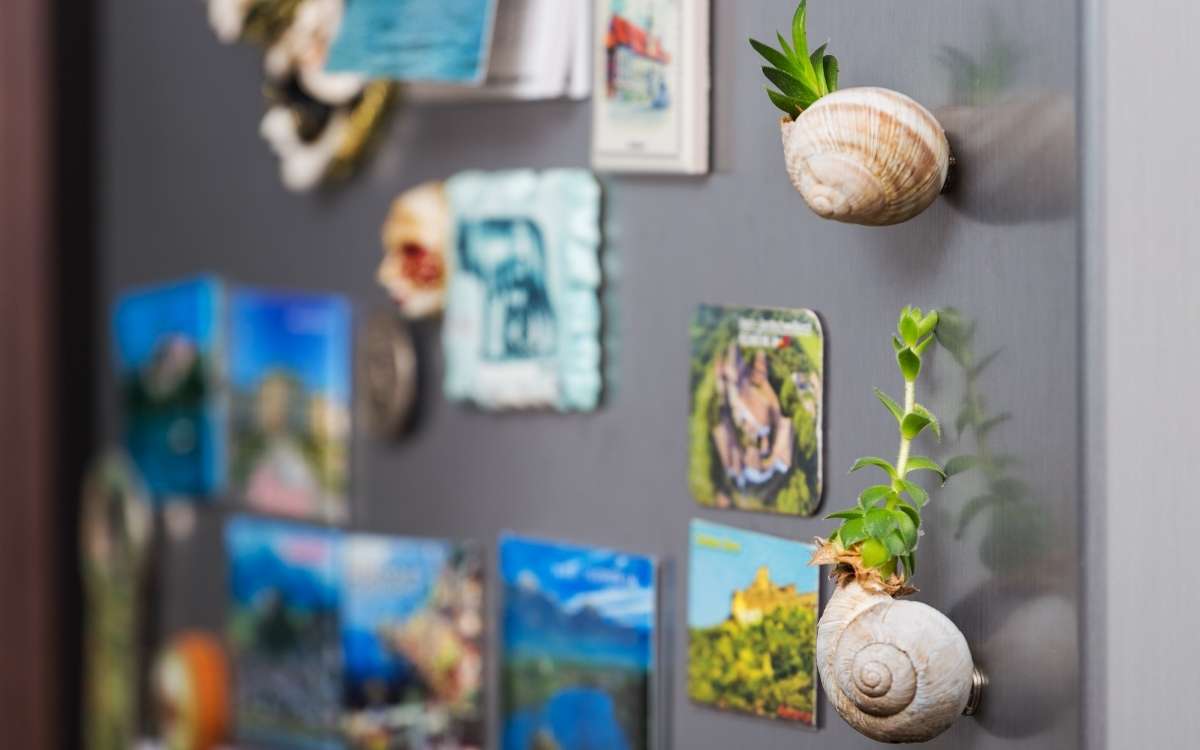 hoto showing several fridge magnets in front of a refrigerator door