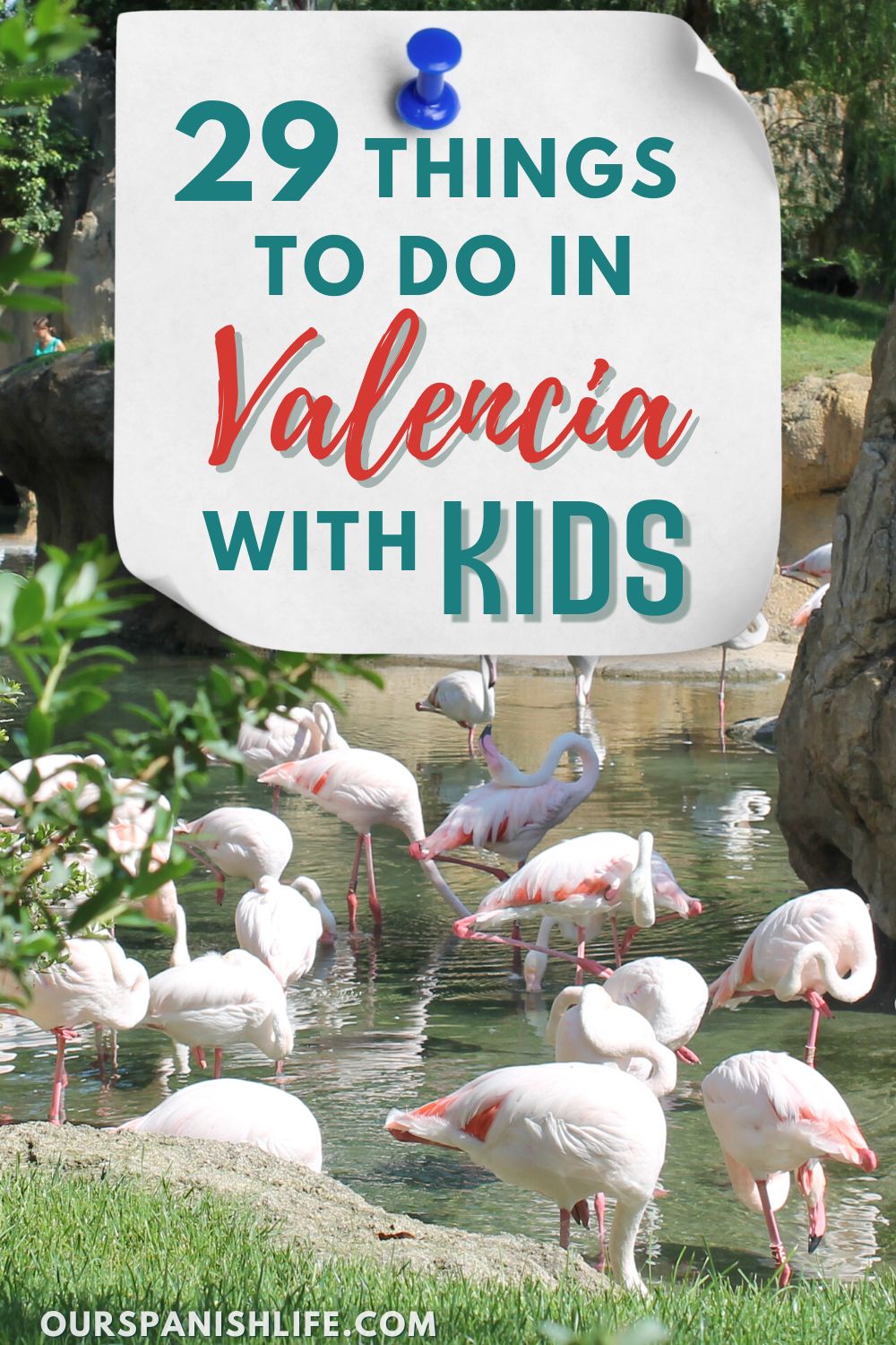 A flock of pink flamingos in a pond with trees nearby and a text overlay that reads 29 Things to Do in Valencia With Kids