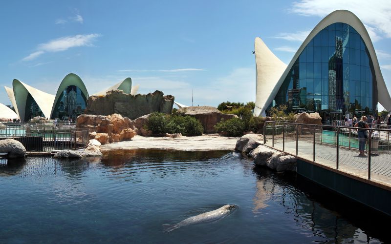 Image showing large dome-like structures and ponds with a seal swimming in it