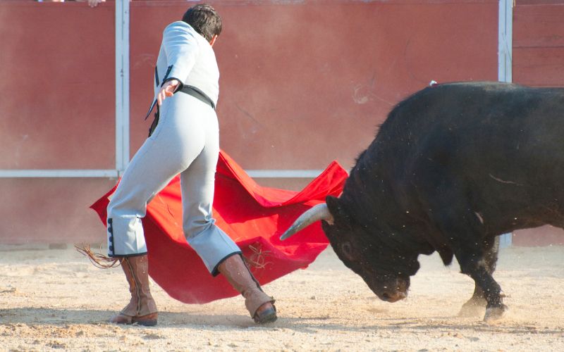 Why the Bull is Spain's National Symbol