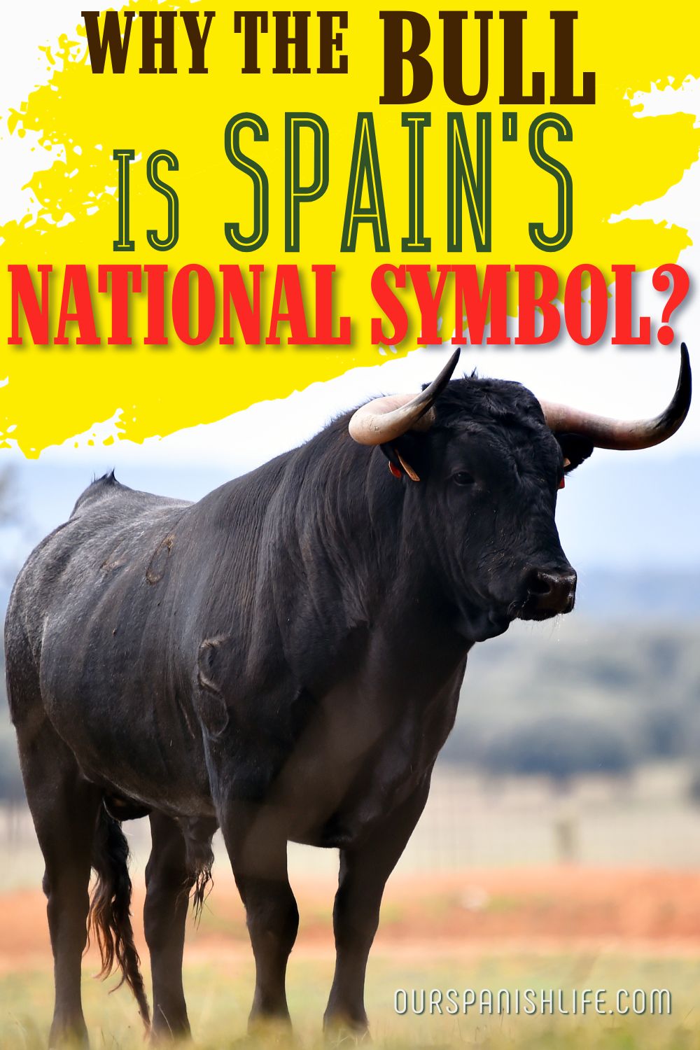 Why the Bull is Spain's National Symbol Pin Image